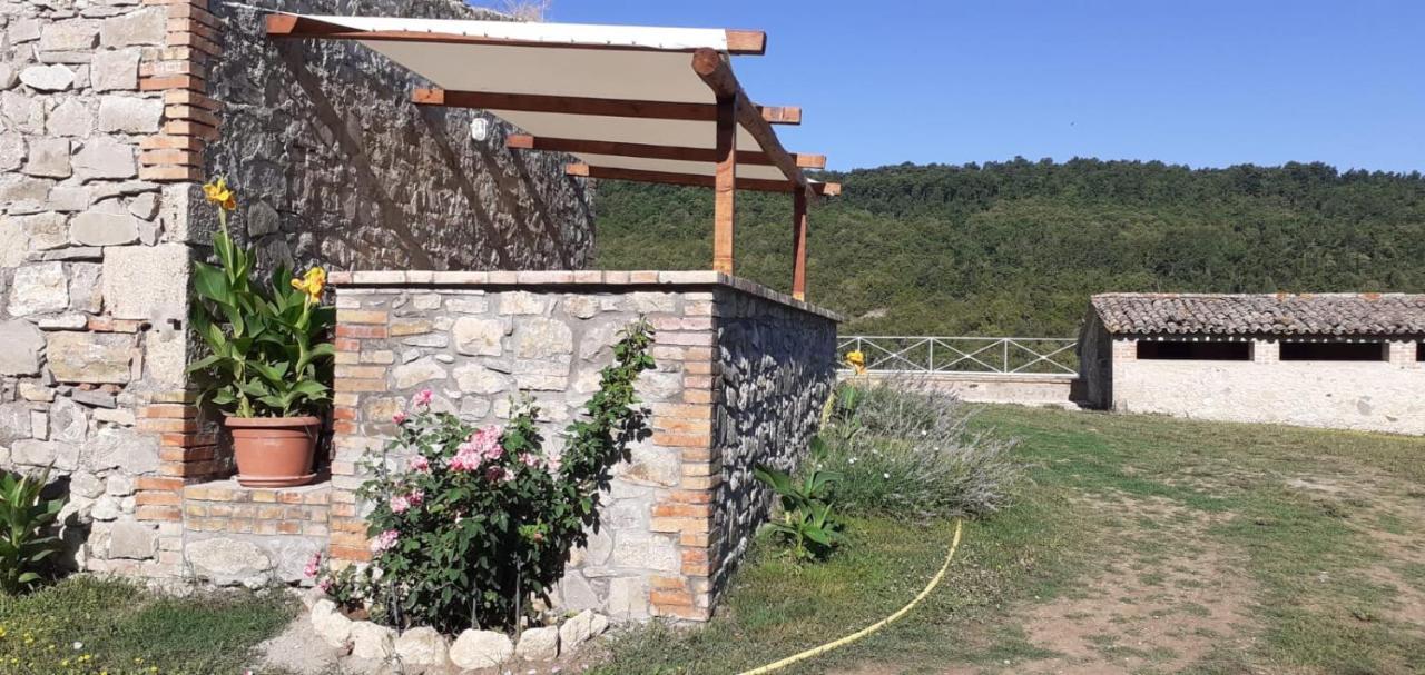 Casale Al Lago Con Piscina E Sauna Corbara  Εξωτερικό φωτογραφία