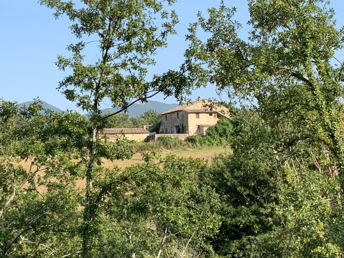 Casale Al Lago Con Piscina E Sauna Corbara  Εξωτερικό φωτογραφία