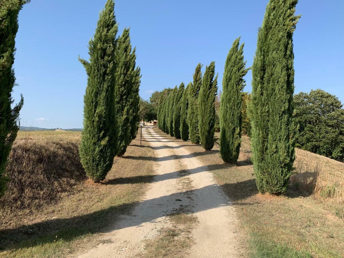 Casale Al Lago Con Piscina E Sauna Corbara  Εξωτερικό φωτογραφία