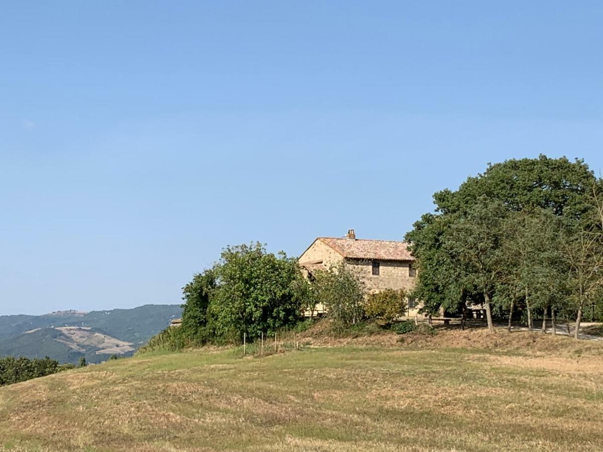 Casale Al Lago Con Piscina E Sauna Corbara  Εξωτερικό φωτογραφία