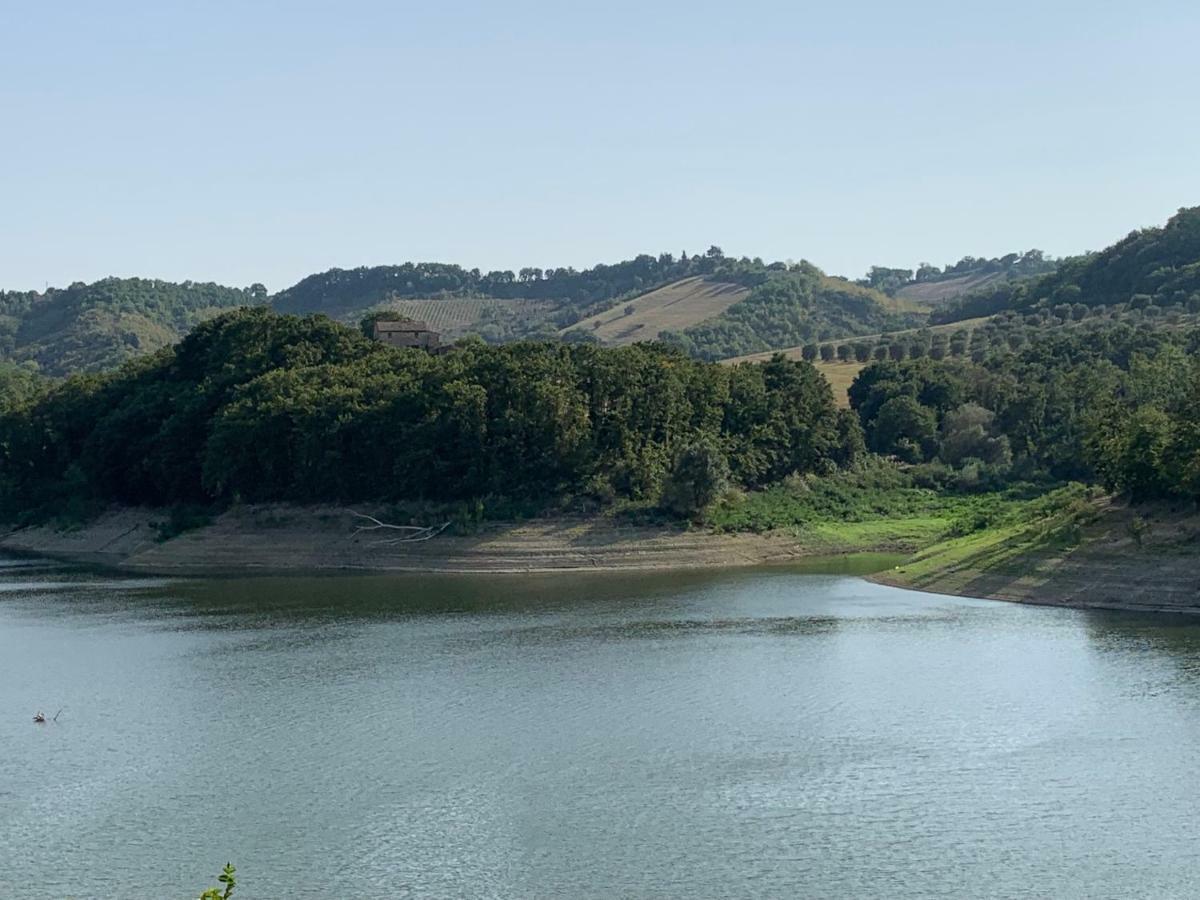 Casale Al Lago Con Piscina E Sauna Corbara  Εξωτερικό φωτογραφία