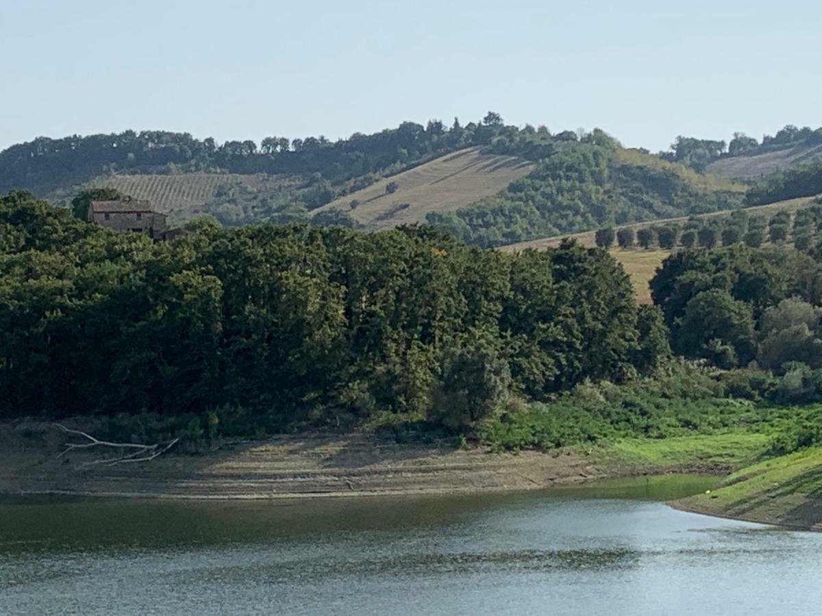 Casale Al Lago Con Piscina E Sauna Corbara  Εξωτερικό φωτογραφία