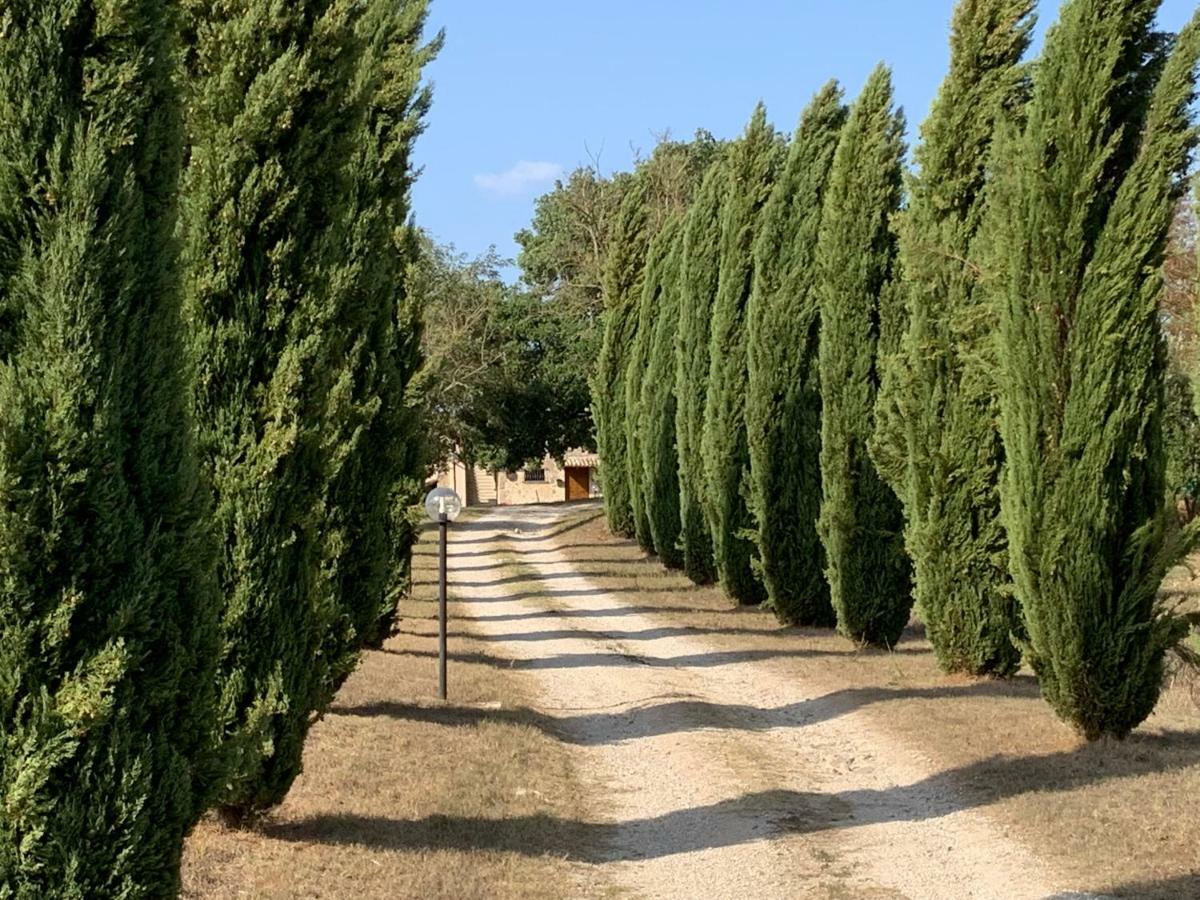 Casale Al Lago Con Piscina E Sauna Corbara  Εξωτερικό φωτογραφία